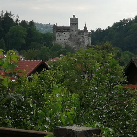 Pensiunea Transilvania Lodge 브란 외부 사진