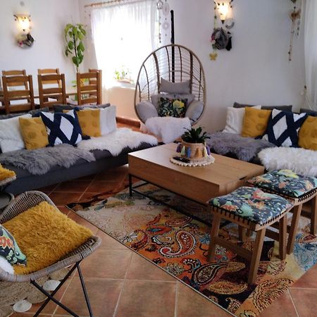 Pensiunea Transilvania Lodge 브란 외부 사진