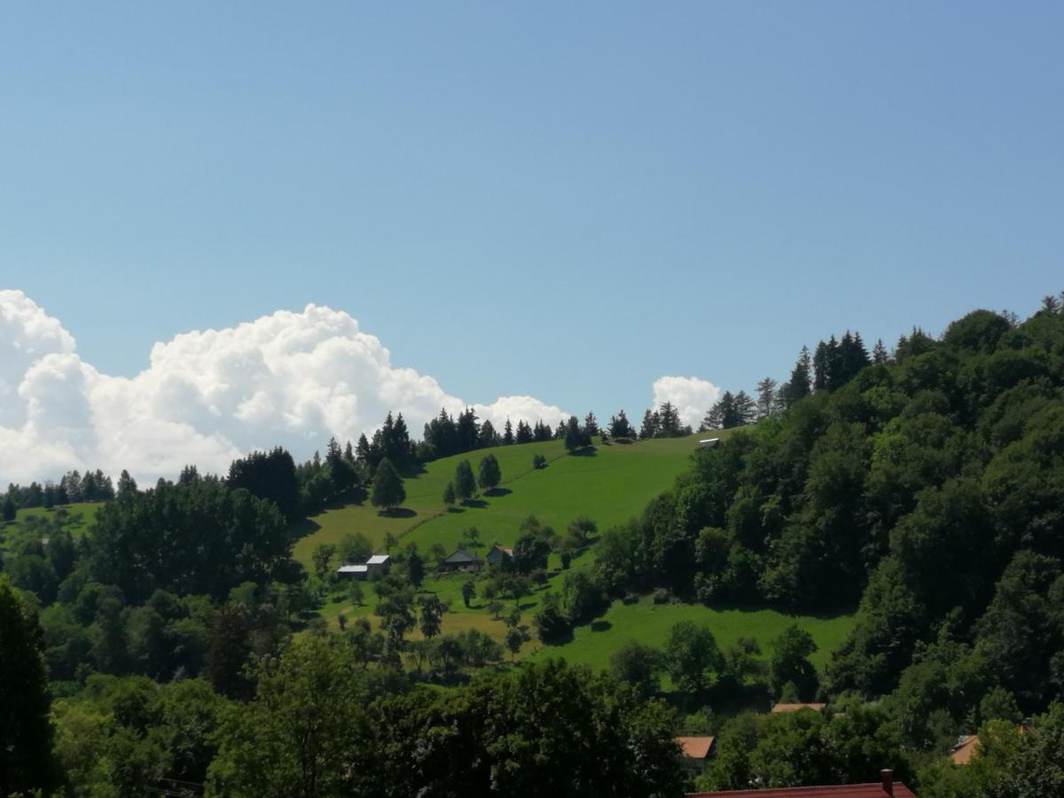 Pensiunea Transilvania Lodge 브란 외부 사진