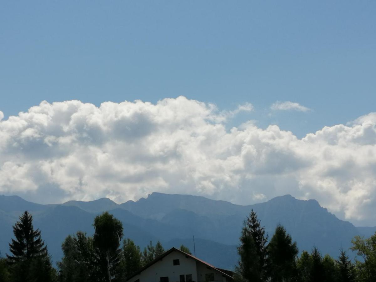 Pensiunea Transilvania Lodge 브란 외부 사진