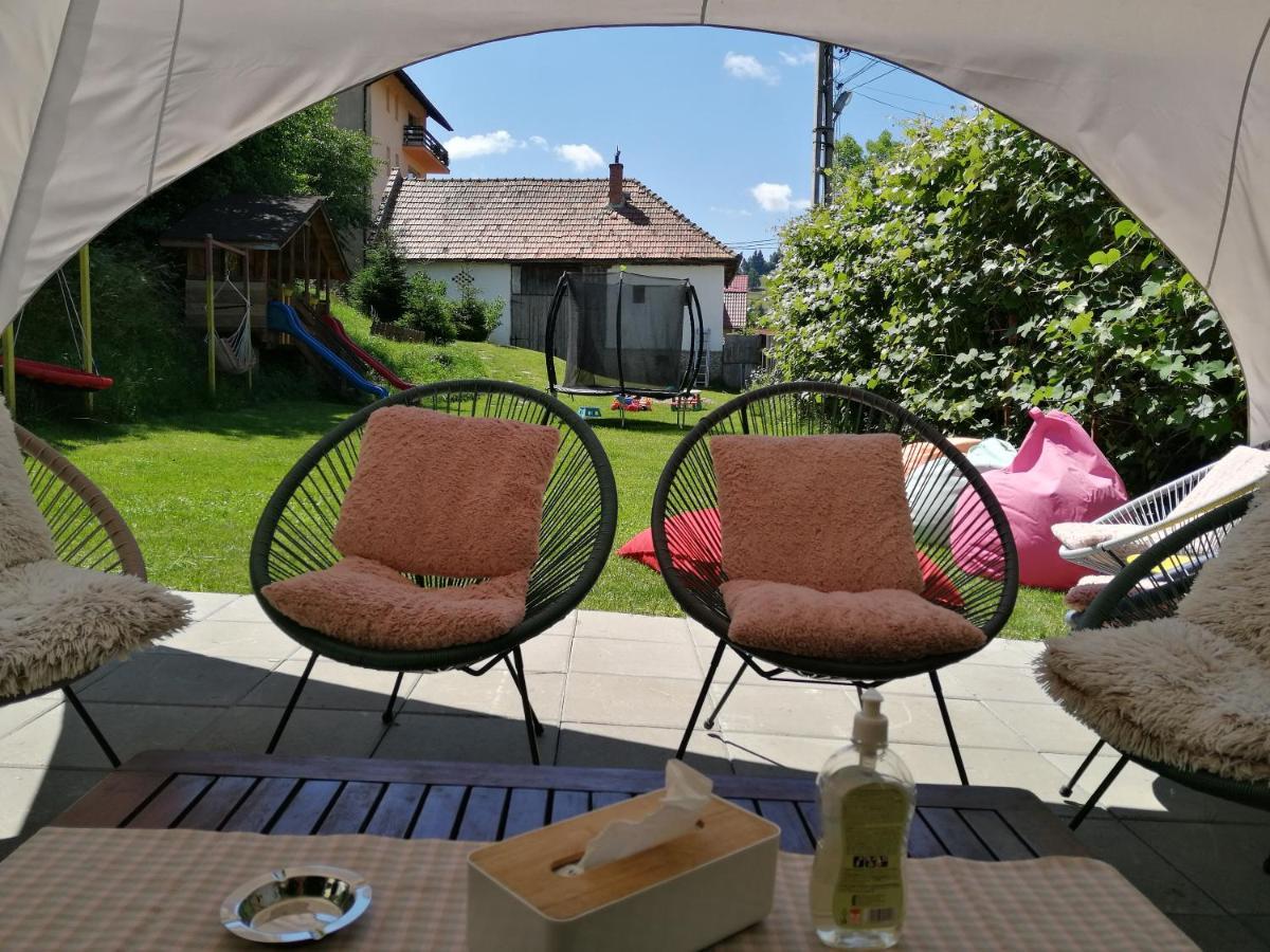 Pensiunea Transilvania Lodge 브란 외부 사진
