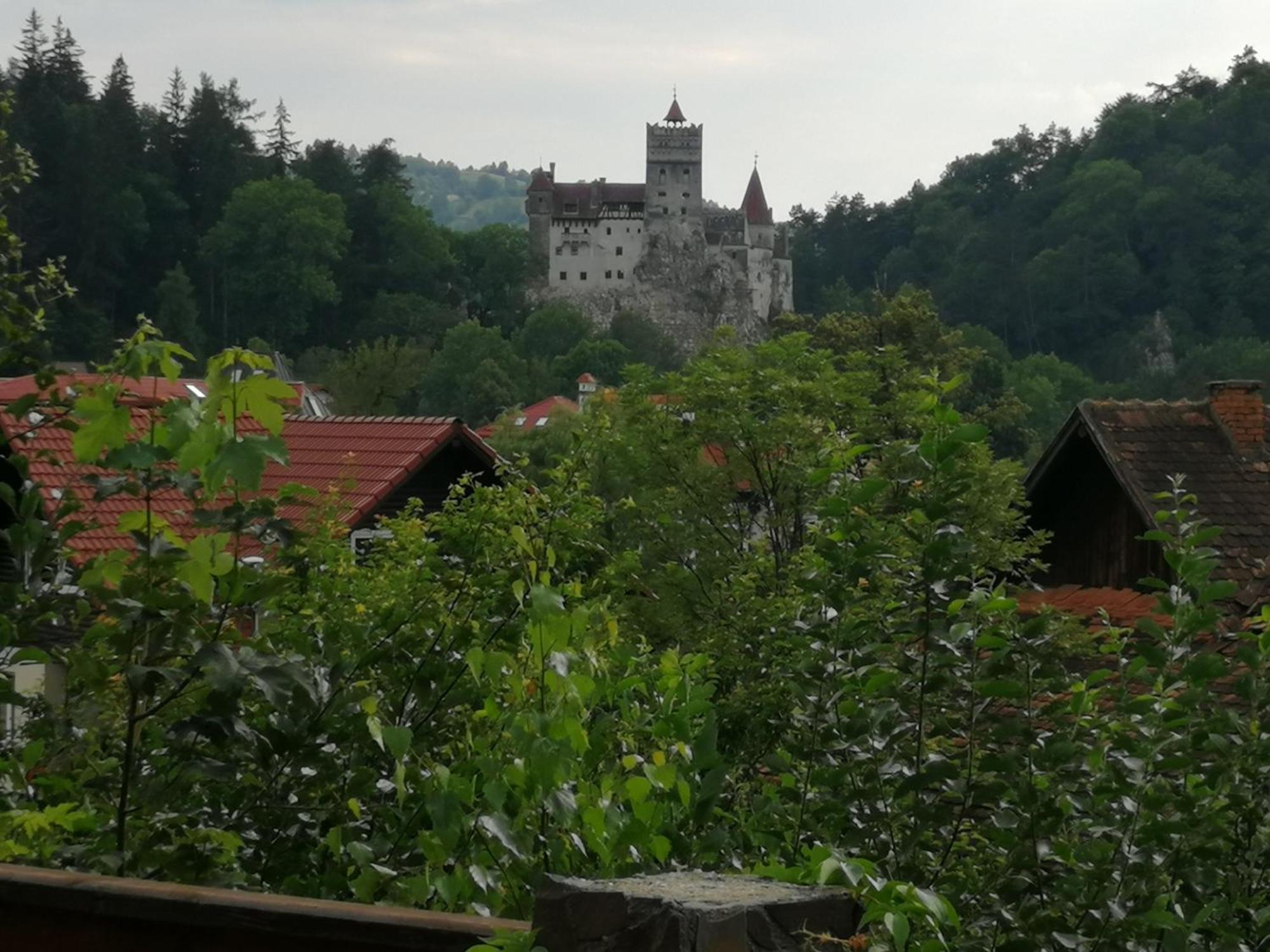 Pensiunea Transilvania Lodge 브란 외부 사진