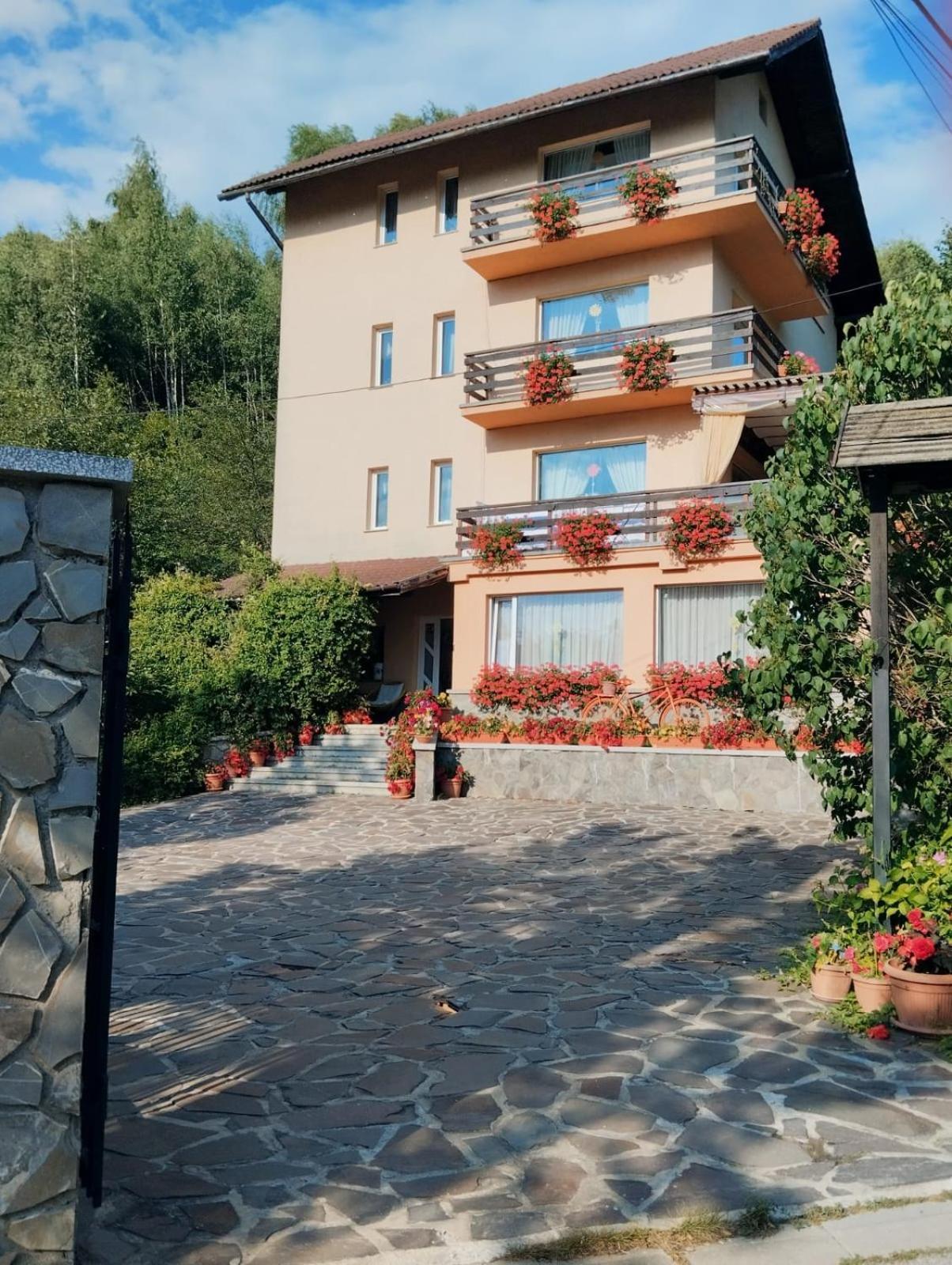 Pensiunea Transilvania Lodge 브란 외부 사진