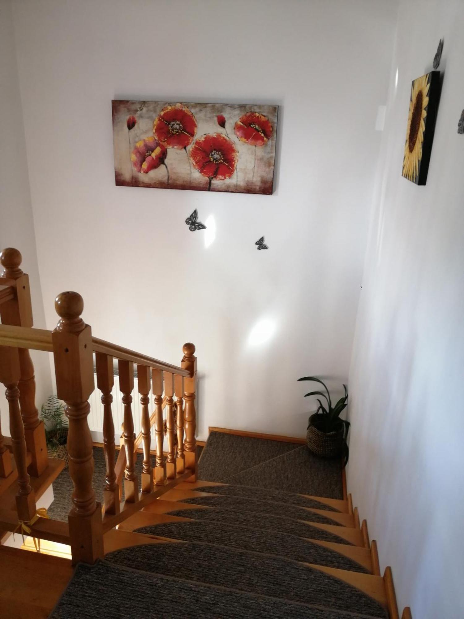 Pensiunea Transilvania Lodge 브란 외부 사진