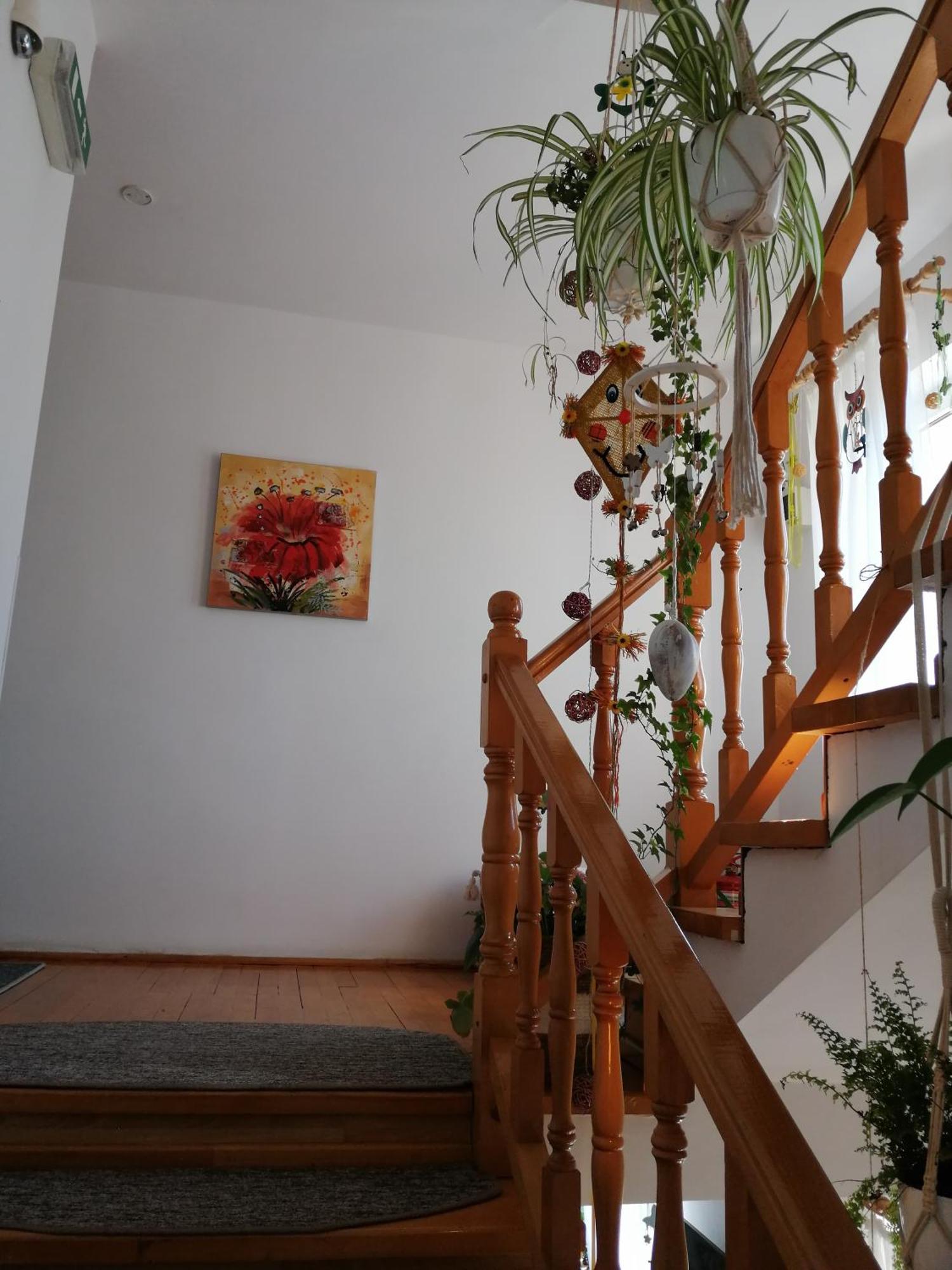 Pensiunea Transilvania Lodge 브란 외부 사진