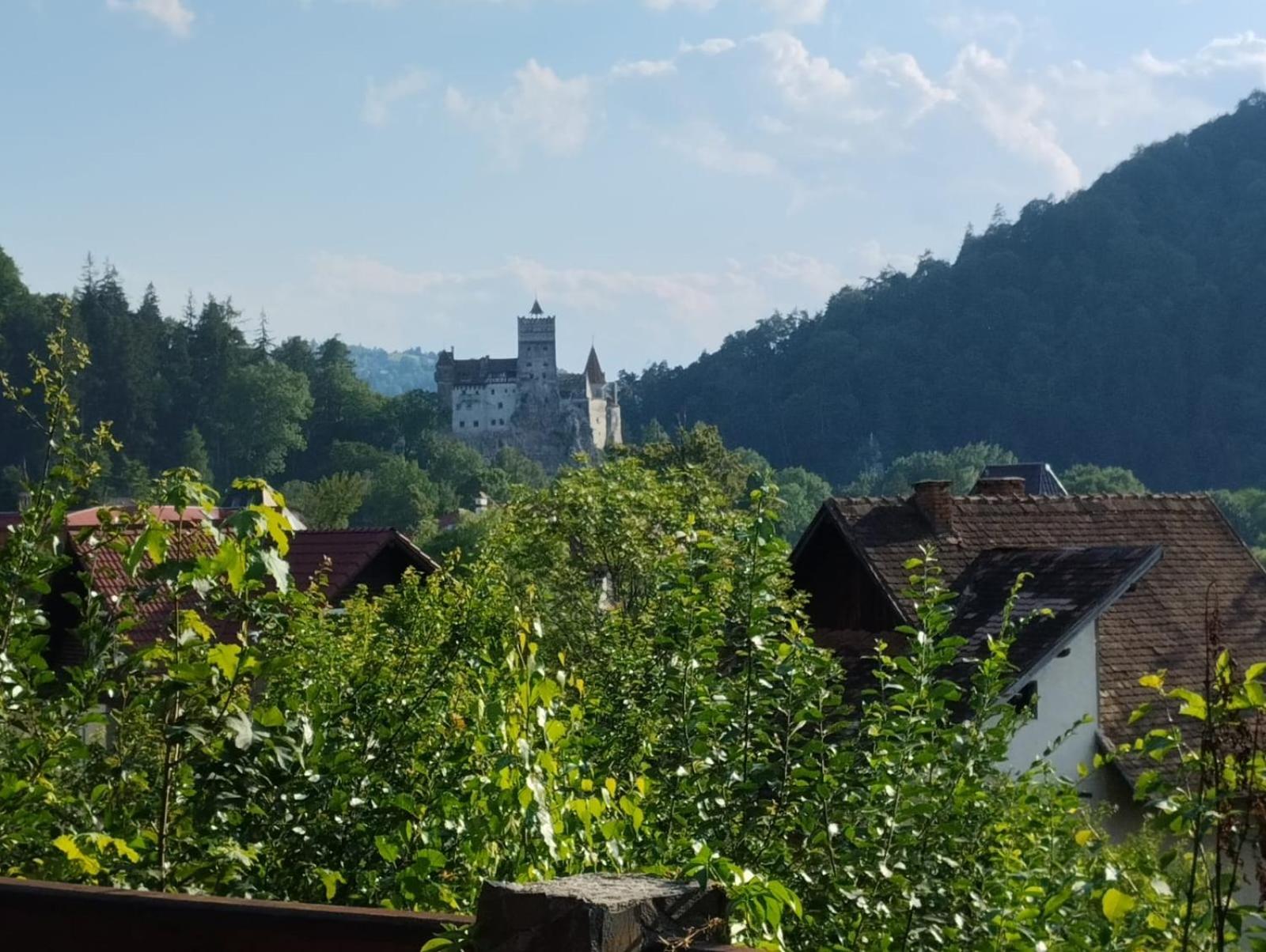 Pensiunea Transilvania Lodge 브란 외부 사진