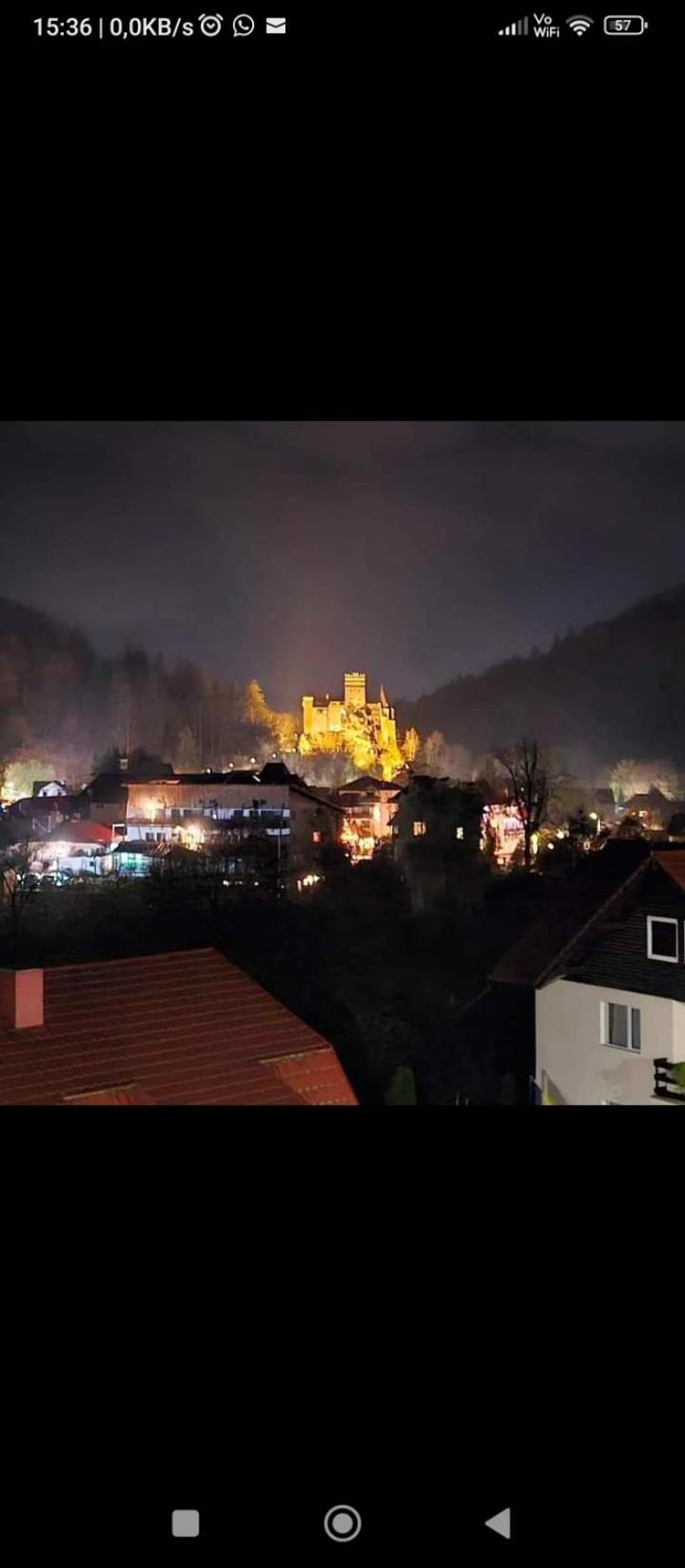 Pensiunea Transilvania Lodge 브란 외부 사진