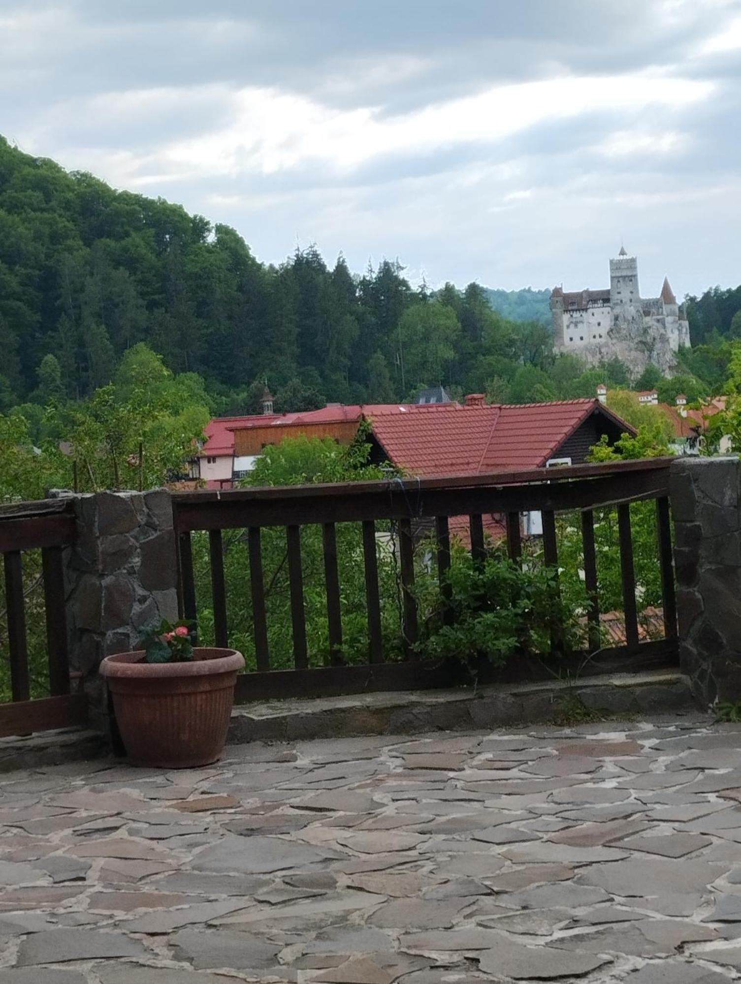 Pensiunea Transilvania Lodge 브란 외부 사진