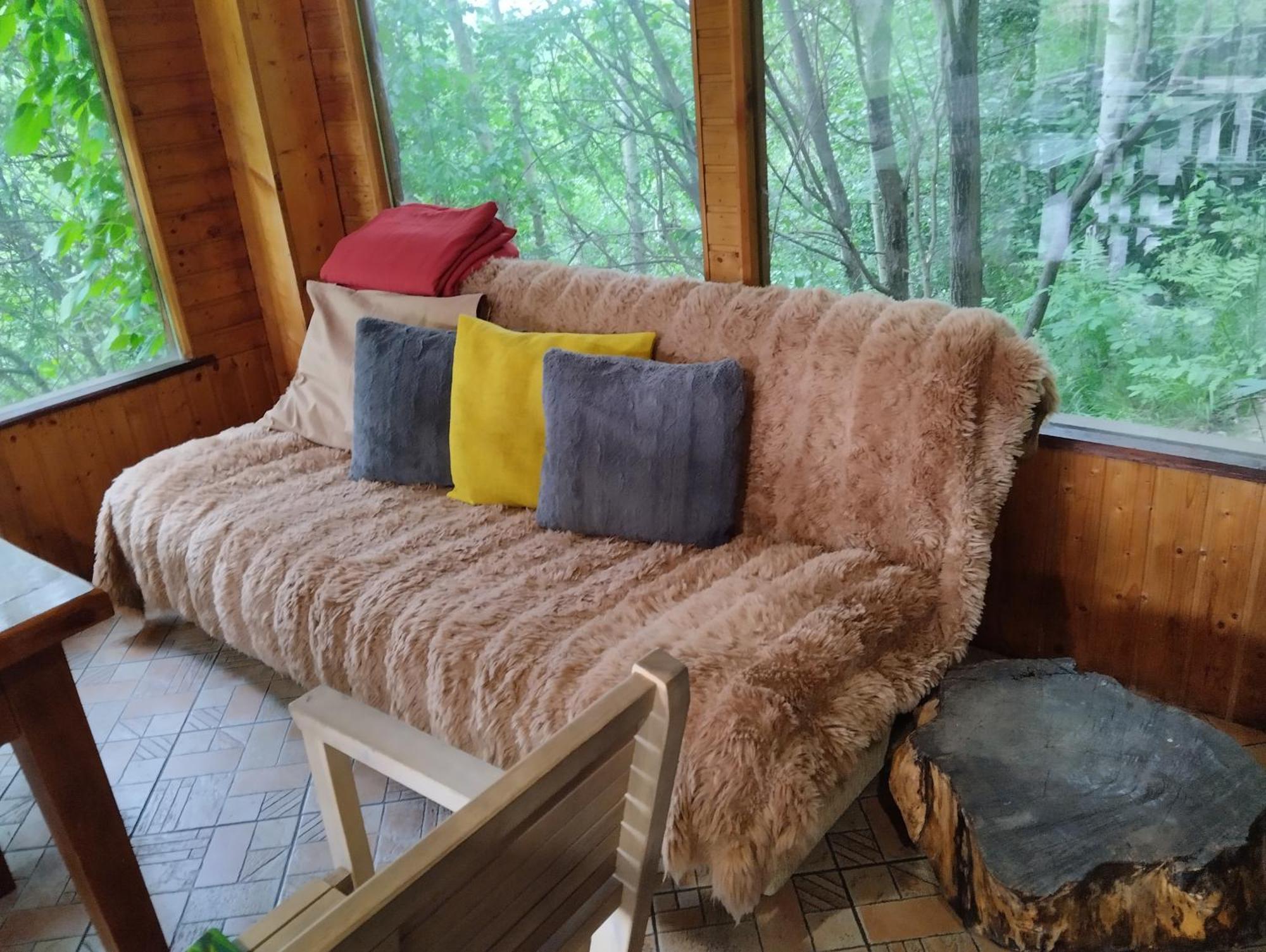Pensiunea Transilvania Lodge 브란 외부 사진