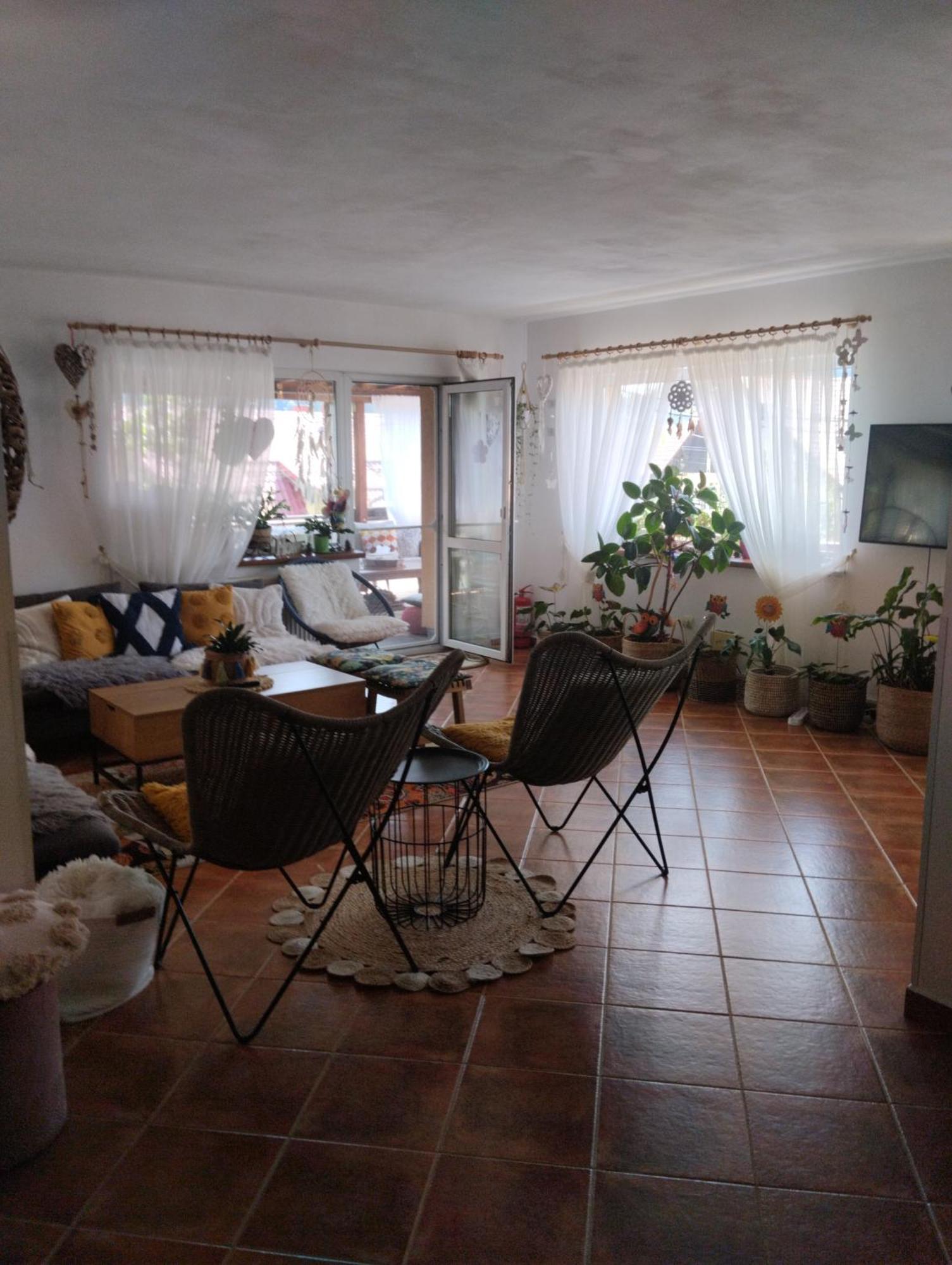 Pensiunea Transilvania Lodge 브란 외부 사진